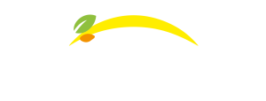 Bonduelle - Tilbake til startsiden